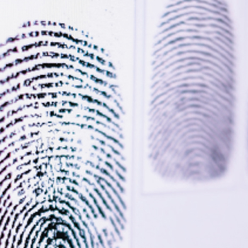 spezialist_fingerprint